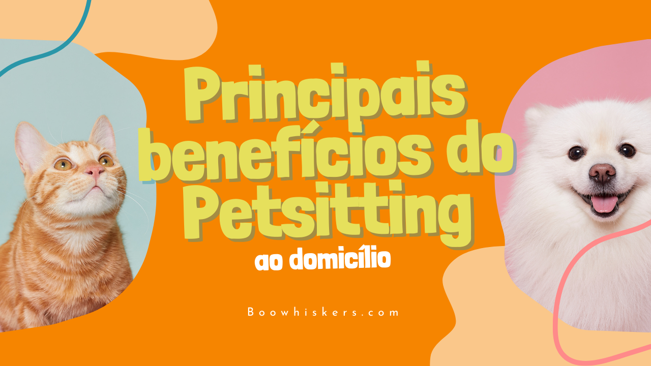 Benefícios do Petsitting